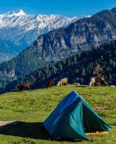 Himachal